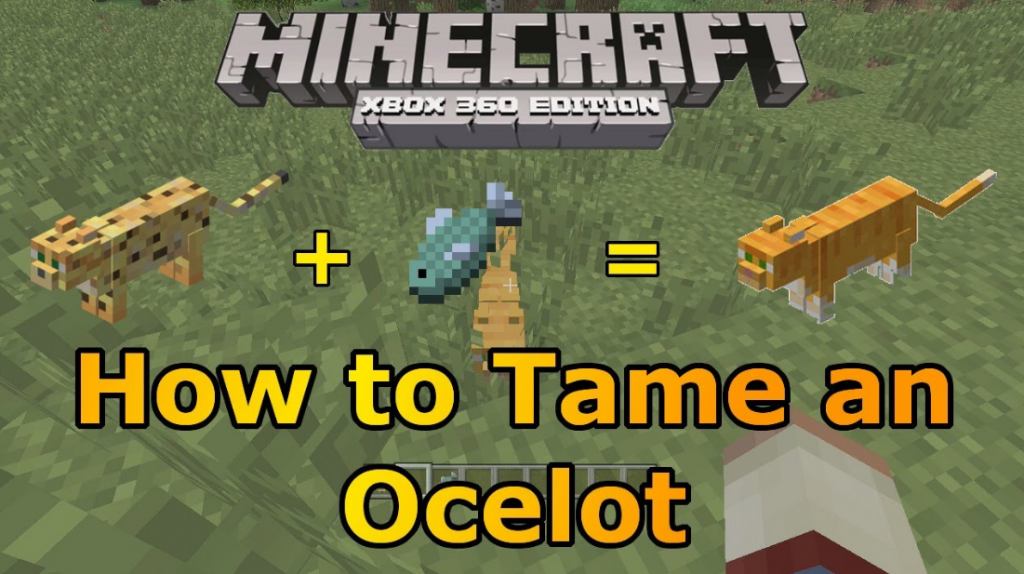 How to tame Ocelots